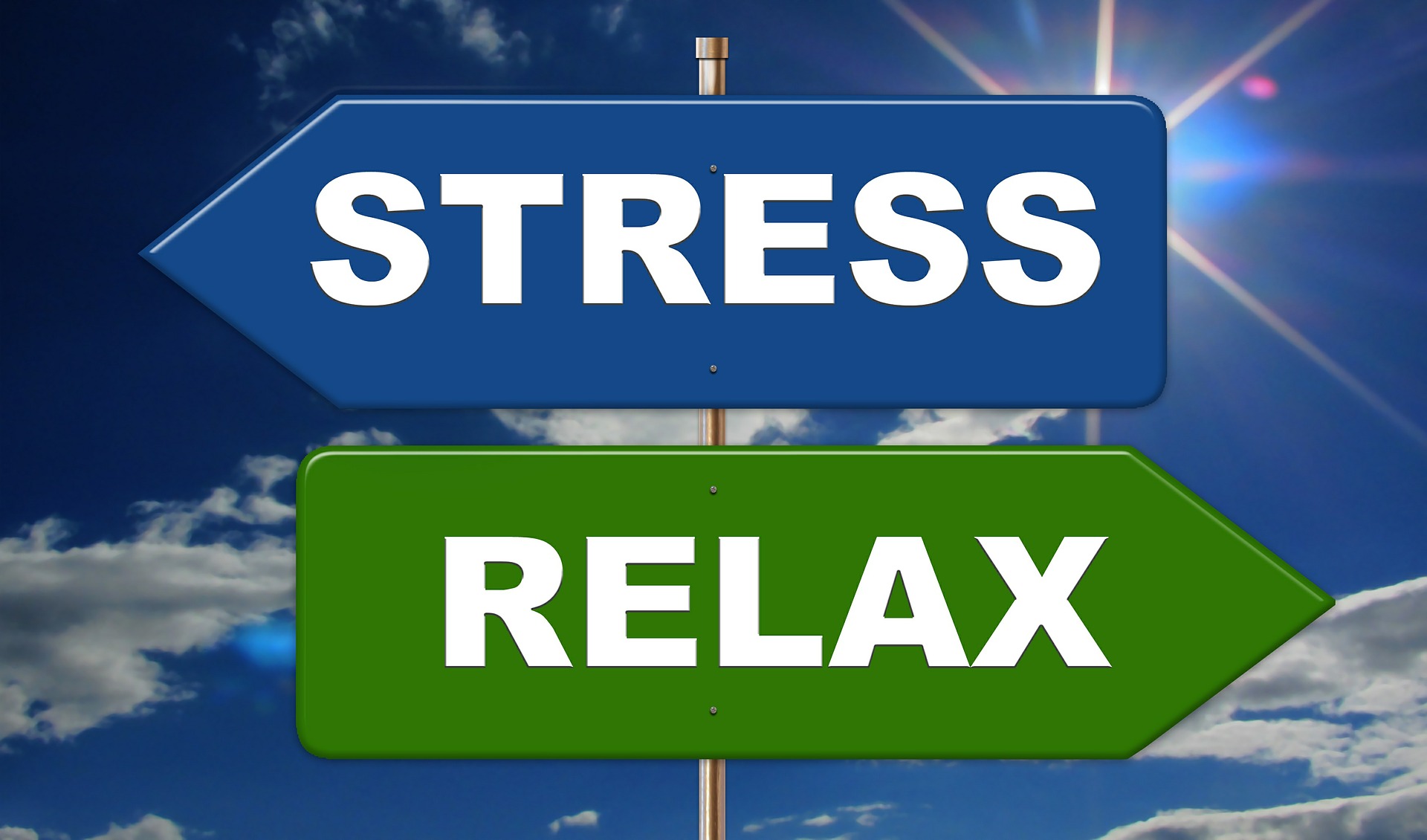 Stress et résilience
